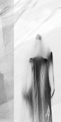 &copy; Lugert